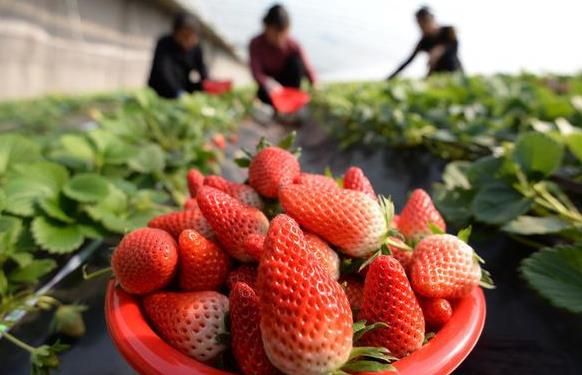 微信截图_20191231100247.jpg