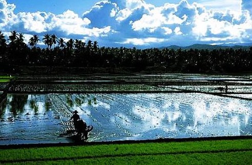 郫县农科村农家乐排行_郫县农科村第三代农家乐以深度体验为主导(2)