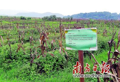 QQ截图20150425080915.jpg