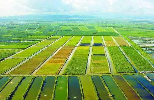 关于土地使用权归属问题是怎么规定的?--中国