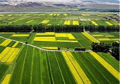 韩国免税购物_减免税 营业外收入(3)