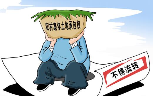 农村集体土地使用权流转有什么要求--中国土地