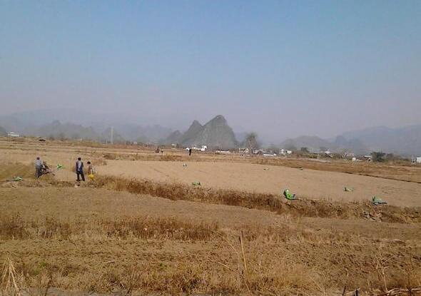 土地流转补贴每亩100元,只有这些农民能够拿到